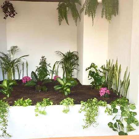 Διαμέρισμα Luxury Bahia Sea Views By Deihu Experiences Los Cristianos (Tenerife)